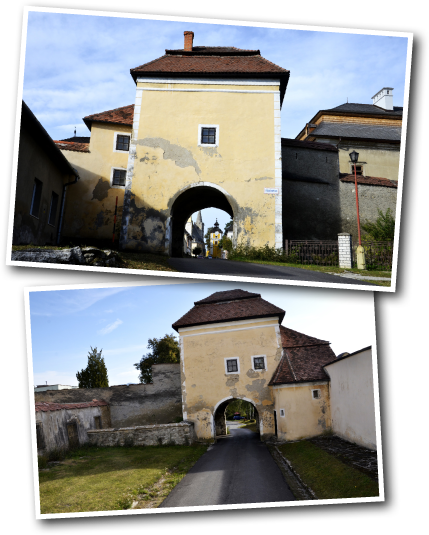 Pomoc pri hlasovaní